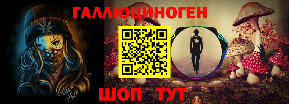 Псилоцибиновые грибы MAGIC MUSHROOMS Донской